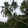 deepakneha
