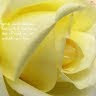 shashank8143